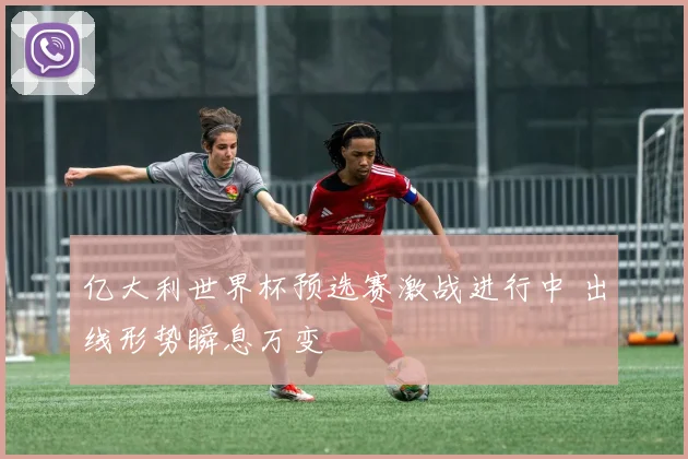 亿大利世界杯预选赛激战进行中 出线形势瞬息万变