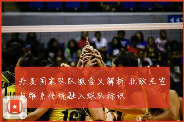 丹麦国家队队徽含义解析 北欧王室与维京传统融入球队标识