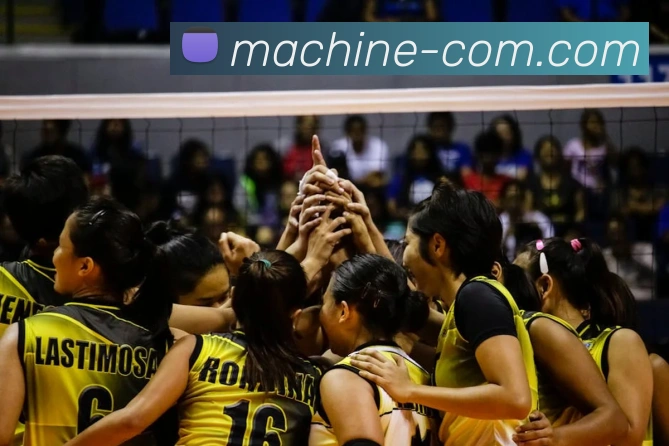 世界杯平台官网登录平台生态图